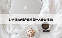 财产保险(财产保险费计入什么科目)