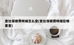 查社保缴费明细怎么查(查社保缴费明细在哪里查)