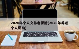 2020年个人交养老保险(2020年养老个人缴纳)