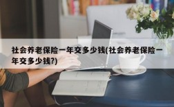 社会养老保险一年交多少钱(社会养老保险一年交多少钱?)