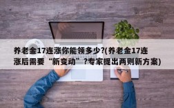 养老金17连涨你能领多少?(养老金17连涨后需要“新变动”?专家提出两则新方案)