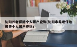 沈阳养老保险个人账户查询(沈阳市养老保险缴费个人账户查询)