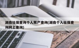 湖南社保查询个人账户查询(湖南个人社保查询网上查询)