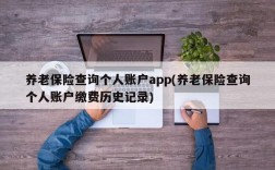 养老保险查询个人账户app(养老保险查询个人账户缴费历史记录)