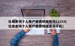 社保查询个人账户缴费明细查询12333(社保查询个人账户缴费明细查询手机)