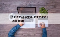 121123违章查询(121232301违章查询)