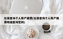 社保查询个人账户缴费(社保查询个人账户缴费明细查询官网)