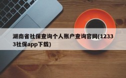 湖南省社保查询个人账户查询官网(12333社保app下载)