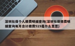 深圳社保个人缴费明细查询(深圳社保缴费明细查询每月合计缴费519是什么意思)