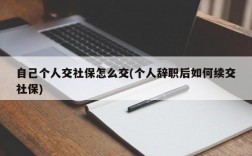 自己个人交社保怎么交(个人辞职后如何续交社保)