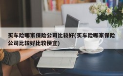 买车险哪家保险公司比较好(买车险哪家保险公司比较好比较便宜)