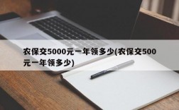 农保交5000元一年领多少(农保交500元一年领多少)