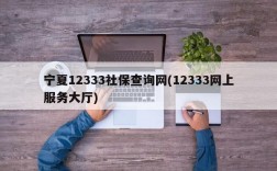 宁夏12333社保查询网(12333网上服务大厅)