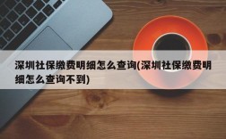 深圳社保缴费明细怎么查询(深圳社保缴费明细怎么查询不到)