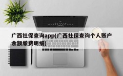 广西社保查询app(广西社保查询个人账户余额缴费明细)